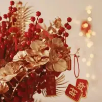 煙火起照人間，舉杯敬此年
煙花落四季平，舉杯賀新歲配圖