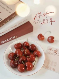 我這一生中，這些直覺一直在教導我一個道理——只有依靠自己，勝算才更大。配圖