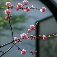 真正的忙不是身忙，而是心忙；
真正的累不是身累，而是心累。
人活一世，奔波勞碌在所難免。當你感到忙，覺得累的時候，一是因為價值的迷失，二是因為過多的欲望。人生有了方向，有了奮斗的理由，心就安定了；少計較，多寬容，知滿足，心也就閑了。順其自然，隨遇而安，懂得放下，生命才會更加完美。配圖