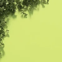 生活細碎 萬物成詩配圖