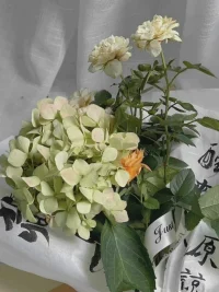 挫折是人生的必修课，它让你变得更强大、更坚韧。

失败并不可怕，可怕的是你因此失去了继续前行的勇气。配图