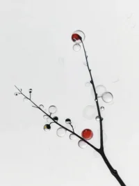 幸福不是拥有多少，而是珍惜多少。知足常乐，心安即是归处。
幸福是一种心态，而不是一种状态。学会感恩，幸福就会不请自来。配图
