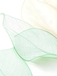 我还是那个怀揣梦想的人，只是现在，我懂得什么时候该停下来喘口气，什么时候该披荆斩棘。配图