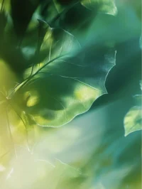 舒適，是繼續一切關系的標準

我們與無數人相遇、相知，而決定這些關系能否持續，往往在于一個簡單卻至關重要的詞：舒適。每個人都有自己的欲望、追求和顧慮，所以，有雜念，有私心，很正常。與人相處，不要期待太多，但要懂得何時該止步，何時該放手。

舒適，是繼續一切關系的標準。這樣的關系，不過分打攪，不刻意討好，不需要偽裝，不需要刻意迎合，在對方身邊時，能夠放松身心。彼此可以自由地表達自己的想法和感受，不擔心被誤解或嘲笑，即使沉默不語，也能感受到彼此之間的默契和溫暖。

淡淡的情誼，最能經受住時間的考驗。人生到最后，留在記憶中的，最能打動人的，往往不是那些轟轟烈烈、激情四溢的瞬間，而是那些簡單、純粹、快樂的時光。最后，愿我們都能找到那份真正的契合，與自己心靈相通、情感相投的人相遇相知。配圖