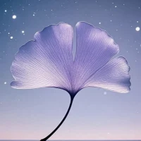有些人的恨是沒有原因的，他們平庸、沒有天分、碌碌無為，于是你的優(yōu)秀、你的天賦、你的善良和幸福都是原罪。配圖
