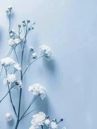 當(dāng)你敢于展現(xiàn)真實(shí)的自己，世界就會以最溫柔的方式擁抱你。勇敢地做自己，愛自己的每一面，你的光芒就會自然而然地散發(fā)出來配圖