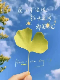 你做的每個選擇，都是彼時最好的結果配圖