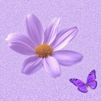 當(dāng)你關(guān)注自己行為背后的意圖時，你就開始看見自己了；
當(dāng)你關(guān)心自己意圖背后的需要和感受時，你才真的看見自己配圖