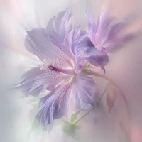 續上：「如何打破共生」

?認知拆解：審視自己的信念系統，區分哪些是自我長出的思想結晶，哪些是被植入的觀念化石。?

拿出紙筆列三個清單：
我堅信的5個人生信條
父母最常說的3句叮囑
朋友圈最流行的2種生活方式

然后逐條問自己：“這個想法是什么時候住進我腦海的？它真的適合現在的我嗎？”就像整理衣柜，把不在合身的觀念溫柔打包，留出空間安放真正屬于你的思考。

?情感斷奶：練習在情緒波動時不立刻尋求外部安撫，而是發展出內在的“心理容器”，讓情緒經過自我代謝而不再轉嫁他人。??

當焦慮來襲時，試試“情緒三問”：
此刻的身體感受是？（比如手心出汗、心跳加快）
這個情緒想提醒我什么？
如果暫時沒有傾訴對象，我可以為自己做些什么？

?行動試煉：刻意選擇與慣常模式相悖的小型冒險，在陌生經驗中激活未被開發的自我潛能。

比如：
換條陌生路線散步、
報名完全陌生的興趣班、
點從未試過的飲品

這些0.1版本的冒險，就像給心靈安裝新的傳感器，幫你發現：“原來我還可以這樣活。”

解除共生不是要活成孤島，反而是達成一種“聯結中的獨立”——如同量子糾纏中的粒子，既保持個體特性又存在深層共振；也像兩棵并肩生長的大樹，根系各自深扎，枝葉卻在風中溫柔相觸。

當一個人能清醒地選擇何時連接、何時獨立，才能真正與世界進行創造性碰撞：既不被關系吞噬，也不因恐懼共生而拒絕深度聯結。這種動態平衡，或許才是生命最富張力的存在形態。配圖