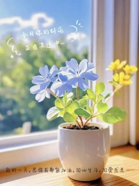 愛就是——你愛一棵樹、一只鳥、一只寵物，你去照顧它、喂養(yǎng)它、關(guān)愛它，即使它不給你任何回報，不跟隨你，你仍然愛它。配圖