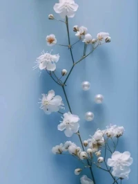 心理学上有个词叫：费斯汀格法则（能让你的情绪稳定到可怕的顶级思维） 


有没有发现，有些人天塌下来都不慌不忙，而有些人，一点小事就能让他炸毛一整天？

差距在哪里？答案是：思维方式：生活中的10%是由发生在你身上的事情组成的，另外90%则取决于你对这些事情的反应。

是的，真正决定你情绪的，不是事情本身，而是你怎么看、怎么想、怎么回应这件事。

想象一个场景：

你早上起床，拿着咖啡准备出门。结果手一抖，咖啡洒了你一身，衣服湿了，还得换。

你开始暴躁：“怎么这么倒霉！迟到了！老板又要骂我了！”

一路上堵车，心情越来越差，甚至到公司跟同事吵了一架。

但请问，这一切的源头，是咖啡吗？

不，是你对咖啡洒了这件事的反应。

如果你当下能平静地说一句：“OK，衣服换一套，赶紧出门。”接下来的情绪就会完全不同。

不如意的事十之八九，情绪起伏本是人之常情。但关键时刻，谁能掌控自己的“第一反应”，谁就能决定接下来的节奏。配图