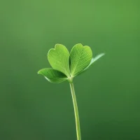不要害怕失去，你所失去的，本來就不屬于你。也不要害怕傷害，能傷害你的，都是你的劫數。配圖