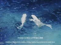 婚姻是一场合作，它从不伤人。你之所以受伤害，不过是允许被伤害。不要去求、去卑微、去忍受，你要去磨合、去建立、去自强配图
