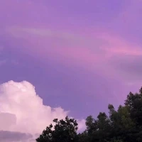 你越尊重自己的感受，你的能量场便越强大。这是因为，人类最磅礴的能量场，都蛰伏在精神疆域。只有相信它的存在，才能在精神疆域开疆拓土配图