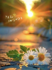 在自己的节奏里，才能过好这一生 

无论什么时候，我们身边总会有各种声音，这些声音或鼓励，或批评，或赞美，或诋毁。当你因为这些声音，而改变自己的节奏和方向时，你的结局就已经注定了失意。要想活得好，就不要太在乎外界的声音，要按照自己的节奏，专注自己的事。

太在乎外界的声音，其实是太看重面子。而面子看似光鲜，实则是套在人身上沉重的枷锁。人之所以感到痛苦和焦虑，往往是因为太过在意别人的看法、想法和说法。面对他人的非议和指责，你越在意，就会越痛苦，最明智的做法是“不搭理”。

生命是属于你自己的，不应被外界的声音所束缚。放下那些不必要的面子和包袱，在自己的节奏里，才能过好这一生。无论外界如何变化，无论他人如何评价，只要你把该做的事做好了，做到了问心无愧，就应该心安理得地吃好、睡好、玩好。配图