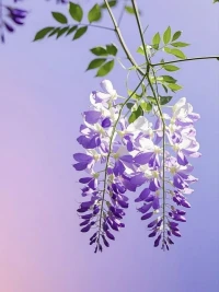 人生是为了过自己的生活， 而不是为了让每个人都理解；无论你走向何方，都要坚定地往前探索自己的路配图