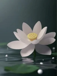 人最顶级的养生：多睡觉 

中医言：“人卧则血归于肝”，擅治病者，先调人睡眠。人一旦睡眠不足，心血两亏，头重脚轻，脑仁一阵阵疼。白天想要操劳，想要全身投入工作，便会有气无力，头晕恶心。身弱之人，大多病痛，源于睡眠不足。

睡眠，是养生第一要务。人活着，就要睡觉。睡眠，是人身体最基本的供电。10点之后，不要抱着手机，刷刷刷，一定要让大脑处于静态，松弛一点，空白一点，让自己进入深度睡眠。人只要半年好眠，精神便会重新焕发。

“少寐乃人之大患”，人只有睡好了，才能有心情好吃好喝，才能有力气拼搏奋斗，游山玩水。不要整天顶着黑眼圈，不要让自己白天熬，晚上熬，熬心，熬命。天黑了，多睡觉，让身体良性循环，生活才会绝处逢生。配图