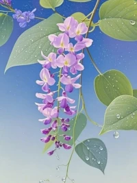 心理疾病像雜草，
你越關注越瘋長，
不關注就像停止施肥，
讓雜草自然枯萎。配圖