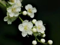 對(duì)他人有過(guò)高道德要求，是自己人格弱小的表現(xiàn)，因?yàn)樗孟胫约罕桓呱械乃吮Ｗo(hù)。他無(wú)法獨(dú)自在“零道德”的環(huán)境中存活下去。配圖