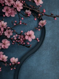 路走不通時，別急著撞墻，試著在墻根下坐一會兒。

也許能發現一扇被忽略的小門，或者，欣賞到墻頭開出的花。配圖
