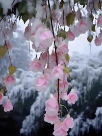 不回應(yīng)，“惡念”就會原路返回 


內(nèi)心不接應(yīng)，那些惡念的東西，就會原路返回。人性有善惡，有些人，跟你無冤無仇，卻見不得你好。當(dāng)你面臨無端猜測，惡意指責(zé)，不要急著去回應(yīng)，去自證。回應(yīng)，意味著糾纏，而只要與爛人爛事糾纏，對自己而言，就是一種耗損。

人到中年，要學(xué)會守護(hù)自己的能量和時運(yùn)。不要別人說你一句，你就氣得跳腳，不要別人奚落你一句，你就不痛快一整天。你反應(yīng)越大，越正中對方下懷。人，面對惡意，要高傲一點。

黃庭堅曾言：“萬言萬當(dāng)，不如一默”。無聲的漠視，往往比大聲反駁，更有力量。那些惡念的東西，只要你不回應(yīng)，就跟你產(chǎn)生不了連接。不回應(yīng)，不共業(yè)，積聚自己的正能量，自己精神不受力，萬般惡念不可侵。配圖