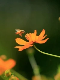清醒是為了生活，糊涂是為了快樂(lè)，智慧的人生需要一半清醒一半糊涂配圖