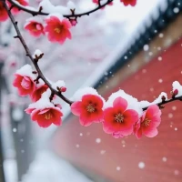 一個人痛苦的根源：過分關注別人

除了生老病死之外，

你經受過的最大痛苦是什么？
我想不論生活的多么快樂的人，
都有屬于自己的痛苦，
而這個痛苦也只能自己消化和感受。

這是一個共享時代，
各種信息資源遍布，
傳播影響速度也極快，

每個人也都可以在各種社交軟件
以及公共平臺曬自己的生活與態度~

有人曬，就有人刷，
曬與刷的背后，
到底是尋求關注？
還是尋找自我？

聽到身邊有很多人都說：
要少玩手機，
要少刷微博，
要少刷朋友圈，
要少刷抖音、、、
或者想要卸載這些東西，

但真正做到的又有幾個人呢？


大概只有刷到嚴重影響自己情緒的東西，才會想到這些吧？

比如說突然刷到：

一個熟悉的胖子現在比你瘦，還比你美，

一個熟悉的千年單身狗各種花式秀恩愛，

一個曾經熟悉的前任盛大而浪漫的婚禮，

一個曾經囊中羞澀的人花式跨國海邊旅行照，

一個要好的朋友現在混得比你好，你心中是否早就暗潮洶涌？

喃喃自語：

MD，為什么我還沒見長進？

于是下定決心，
不刷了，把時間留給奮斗吧！
這種時不時跳出來的痛苦，
真的是刷出來的痛苦嗎？


如果是，那你能阻止自己刷嗎？

如果不是，那這痛苦來自哪里？

我們總是在不經意間做了觀望者，
觀望別人的生活，
觀望別人的狀態，
觀望別人的奮斗，
觀望別人的成功，
觀望別人的喜悅，

... ...


而自己呢？
自己的狀態？
自己的目標？
自己的當下？
自己的成就？
自己的喜悅？
自己的生活？

。。。

是否忘記了多給自己一些關注？


當關注他人比關注自己多的時候，
得到的應該不止是痛苦了，
可能不經意間，
就錯過了自己生命中最美好的瞬間~配圖