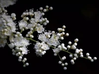 是的，改變吧
改變你關(guān)于對和錯的觀念
改變你關(guān)于這個和那個的看法配圖