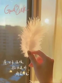 在自己的世界里熠熠生輝，在別人的世界里順其自然，遇見不一樣的光芒。配圖