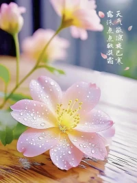 記住，所有欺負你的人，賭的就是你不會反抗，一定要明白，弱者被人性拿捏，強者利用人性對付爛人配圖