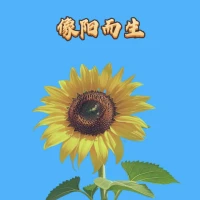 一个人要明白，自我重建最难的地方，不是对抗，不是走错路， 而是恢复对世界的信任，顺应一切，允许一切配图