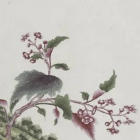 不要小看，自带疏离感的女人

不要对谁都掏心掏肺，不要对谁都自来熟，恨不能把自己掏箱底的事都说出去。女人要自带一点疏离感，对身边的人和事，都竖起一道淡淡屏障。不是清高，而是要保护自己的福气，远离一切没必要的纠缠和烂人烂事。

不要小看，自带疏离感的女人。因为这种女人内核强大，自有一片独属于自己的丰盈天地，她们擅于旁观，很少介入因果，有点淡漠，她们看透了世事，不再被他人利用。那些坏人，见了这种女人，也会退避三舍，因为，会被直接屏蔽。

女到中年，一定要带点无所畏惧的疏离感。不怕得罪人，不刻意合群，就能非常舒展、自在地做自己。让自己的性情渐渐平和，淡漠却不冷漠，能共情却不盛情。不求任何人懂得，不为任何人躬身，勇敢、温和，却从不好惹。