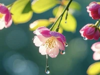 你的感受，才是真相


当纠结于一段关系是否适合自己、要不要继续维持下去时，就问问自己的感受。要知道你的感受是不会骗你的。一段关系里是快乐、是开心、是自由，还是痛苦、消耗。你的感受会告诉你。一般来说如果是开心、快乐、幸福，那必然会好好珍惜，不会去纠结。纠结只能说明长期感受到了痛苦、不开心、消耗。对于消耗你的关系，那就果断离开。不要勉强自己，更不要委屈自己。不然只会让自己变得越来越糟，越来越不像自己。一定要相信自己的感受，你的感受才是关系的真相。配图
