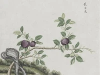 短短三句話，說透了人性 

層次比你低的人，詆毀你。?你比他強(qiáng)一點(diǎn)，他恨你；你比他強(qiáng)太多，他怕你。不是你做錯(cuò)了什么，是因?yàn)槟愕拇嬖冢粘隽怂麄兊牟蝗缫狻Ｔg毀，是弱者的武器，他們不敢承認(rèn)你的好，只能靠踩低你來墊高自己。不理睬、不爭(zhēng)辯，不糾纏，沉默就是最好的回應(yīng)。

層次相同的人，欣賞你。大家半斤八兩，反而容易惺惺相惜，彼此看得懂對(duì)方的難處，也接得住對(duì)方的狼狽。你能成事，他真心佩服；你遇坎了，他伸手拉一把。同頻的人，少了算計(jì)，多了真誠。人生路上，能有幾個(gè)互相托底的，日子就不會(huì)太涼。

層次比你高的人，鼓勵(lì)你。真正站得高的人，眼里沒有對(duì)手，只有同行者。你弱，他提點(diǎn)你；你強(qiáng)，他成全你。他們的境界，不在爭(zhēng)，而在渡。遇到這樣的人，別自卑，多請(qǐng)教，他們的格局，會(huì)撐大你的世界。配圖