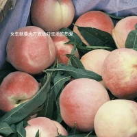 去过好的日子 而不是正确的日子