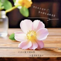 人如果过度的节俭，舍不得吃，舍不得穿，那你省下来的其实不是钱，而是一个廉价的人生。配图