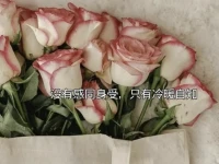事态不利于你的时候，尽量闭嘴，静就是吉，尤其是心，千万不能乱，别去争执，每个人都只能站在自己的认知