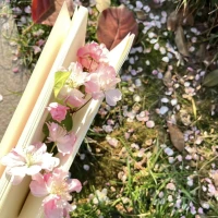 给正在等待花期的你三个锦囊




1、建立“自己的时钟”：


删除那些制造焦虑的APP把别人都...改成我选择...



2、享受“蛰伏期特权”


可以犯错而不被过度关注能静下心来真正打磨自己


3、收集“生长证据”


每月记录3个小进步建立专属的成长银行
你看那蒲公英，
不急着和玫瑰比娇艳，
终有一天，
它会带着种子飞向更远的天空。配图
