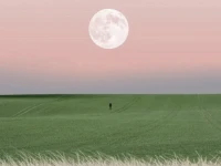 把自己当成上位者，就能激活自己的主体性

其实一个人强大的关键不在于智商，而在于“心态”。

把自己当成上位者来为人处事，就会拥有“上帝视角”。

西蒙·斯涅克写过一本很有名的书叫《无限的游戏》，里面有一个很重要的思维：“玩家思考规则，棋手思考策略，而游戏设计者思考整个系统，认知层级的差距，本质上是主体性的差距。”