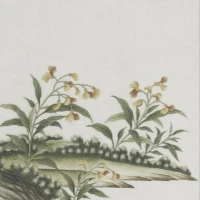 “被”就会“笨”，“主”就会“明”

一个被剥夺主体性的人是真的会变笨的。
看到一个网友分享说，她之前喜欢一个人，就主动追对方，自己的思路很清晰，每一步该干什么都有条不紊，最后真的追到了。但是如果是自己被别人追，就感觉不知所措，因为自己是“被凝视”的那一方。
主动的人，才是掌握“棋盘”走向的人，因为只有主动的人才能决定事情是否开始，是否结束，比如，你主动追求别人，那么你可以想追就追，不想追就不追，而对方却只能被动承受，这是一种“隐性的权力”。
人只要明确知道自己想要什么，要干什么，就一定可以完成。这个成功前提是“太想要了”带给我们的“坚定感”是否足够强烈。