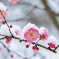 善良无尺，反成靶心
卡耐基说过：“恐惧比爱更能驱动人的行为。”
在人际博弈的原始丛林里，缺乏锋芒的善良如同不设防的城池，只会招致掠夺。
对什么事情都说“没关系”的人，为什么会活得最累？不是他们天性软弱，是他们默认了“宽容=不拒绝”，把自己的底线磨成了模糊的虚线。
人的试探都是渐进的，你越是不计较，别人越觉得你好说话：加班帮同事擦屁股？下次黑锅准还甩给你；别人随便使唤你？就因为你“脾气好”。
老好人不是美德，是给自己挖坑。你若当自己是菩萨，别人就把你当软柿子。
更扎心的是： 你帮人十次是“应该的” ，你拒绝一次就是“变坏了” 
善良得像块橡皮泥，谁都能捏两下，最后捏成一团垃圾。
更危险的是，过度宽容会扭曲他人对你的价值判断。真正的善良必须包含自我捍卫的硬度，棉花糖若无限拉伸，终将被扯碎。