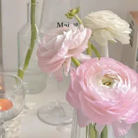 過度介入父母因果，會要命 

兒女最大的拎不清，就是過度介入父母的因果。這是對親情的一種越界，你是父母的孩子，不是父母的父母。忠于父母，是孩子的一種天性。為人兒女，可以孝順，可以心疼，但不能背負，不要把父母的情緒、生活都背負在自己身上，恨不能替他們改命。

每個人，自有命運。父母，都有自己的人生課題，那些痛苦折磨，是他們人生的必經之路，無人可替。過度干涉，不會讓父母更好，反而會管來管去，管成仇。而父母子女一旦反目，其仇恨一定是最深、最痛、最要命的。

所謂的斷親，誰不是祭進去半條命，那不僅僅是血緣的斷絕，更是對生命的一種分割。可原本，不至于此。親情，到了一定時間，就是一場得體的退出。親情不會消失，依然牽掛，依然愛護，但不占有，不束約。配圖