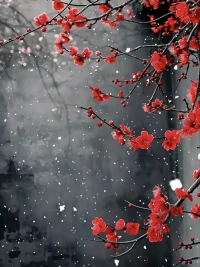 和你翻過臉的人，不管這個人和你是什么關系，都不可能再次成為朋友，從他和你翻臉的那一刻起，彼此的緣份就已經走到了盡頭，從此各自安好配圖