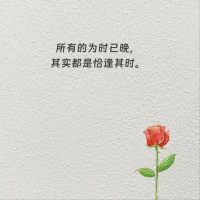 你本可以躲开伤害配图