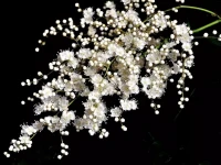一个人际关系的真相：无论在谁面前，只要你表现的唯唯诺诺，胆怯卑微，对方就会看不上你，你也会遭到这世上最深的恶意配图
