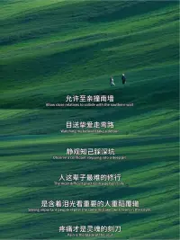 当你无法忘记一个人或者一段经历时，

你可以用更宏大的世界稀释它。

问题有多大，

取决于你的世界有多大，

茶杯里的风暴在浴缸中不值一提。

你可以去解答一个问题，

也可以让这个问题变得无关紧要。

当你见识过大海，就不会在意小池塘里的是非了。配图