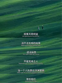 有什么抵得過心甘情愿，又有什么蠢得過自欺欺人。人在不同的時間，想要的東西不一樣，盡所能，敬所不能。配圖
