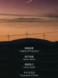 我的靠山是我自己，我的壞情緒都是自己扛過來的，能替我撐腰的那個人，是我心中打不敗的自己。配圖
