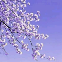 疾病背后的礼物：与大自然的连接中，我体验到了存在价值