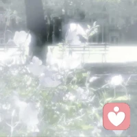 怎么判斷一件事該不該拒絕？不用想太復雜，就問自己三個問題：
1. 我打心底里愿意做嗎？不是應該而是愿意。
2. 做了之后，我會覺得踏實，還是會偷偷后悔？
3. 長期做這件事，我會離我想成為的人更近，還是更遠？
如果三個問題里有兩個答案是否定的，別猶豫，直接拒絕。
你要做的，是勇敢地劃定界限。哪怕暫時失去一些機會、一段關系，也要把心里的“不愿意”堂堂正正擺出來。配圖